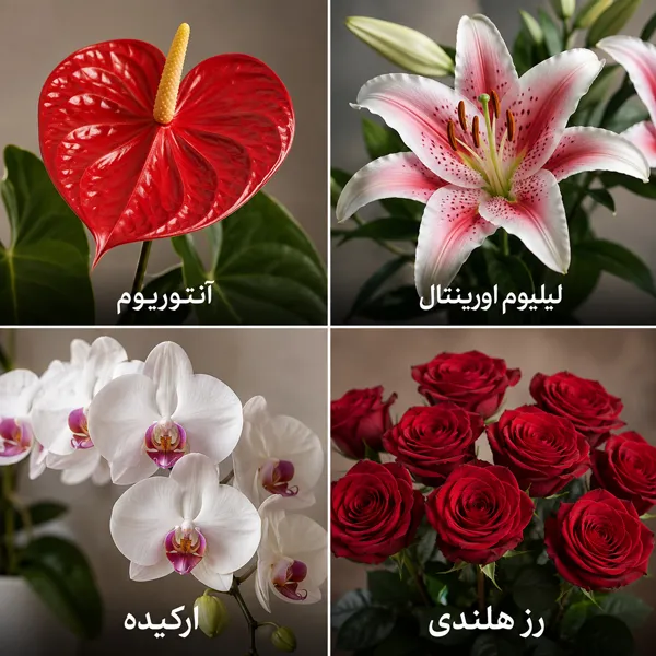 چهار گل مناسب تبریک
